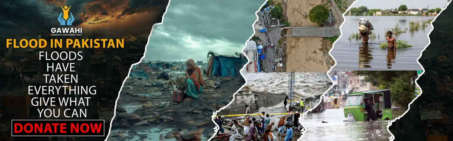flood website-min (1) (1) (1)